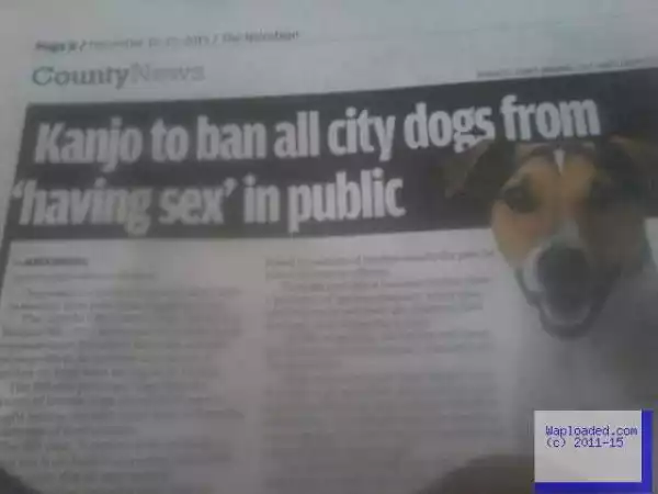 Photo: Dogs in Nairobi banned from having s*x in public...lol